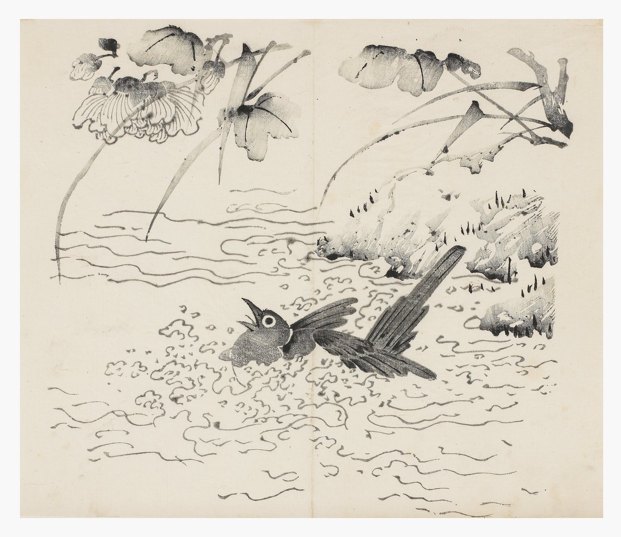 Ti Bamboo Series af School Chinese
