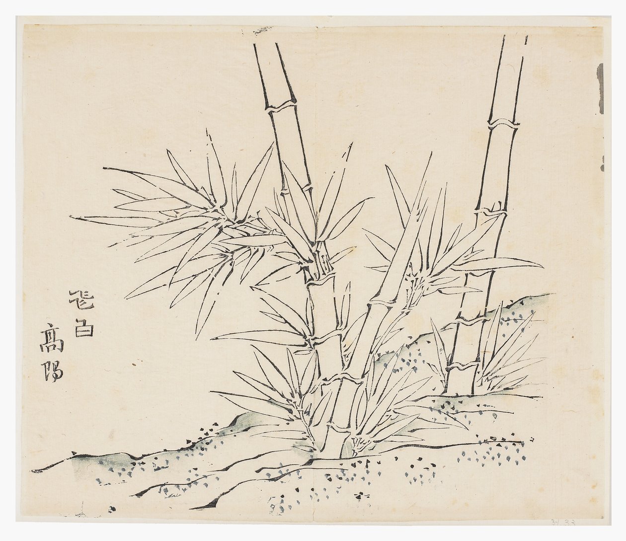 Ti Bamboo Series af School Chinese