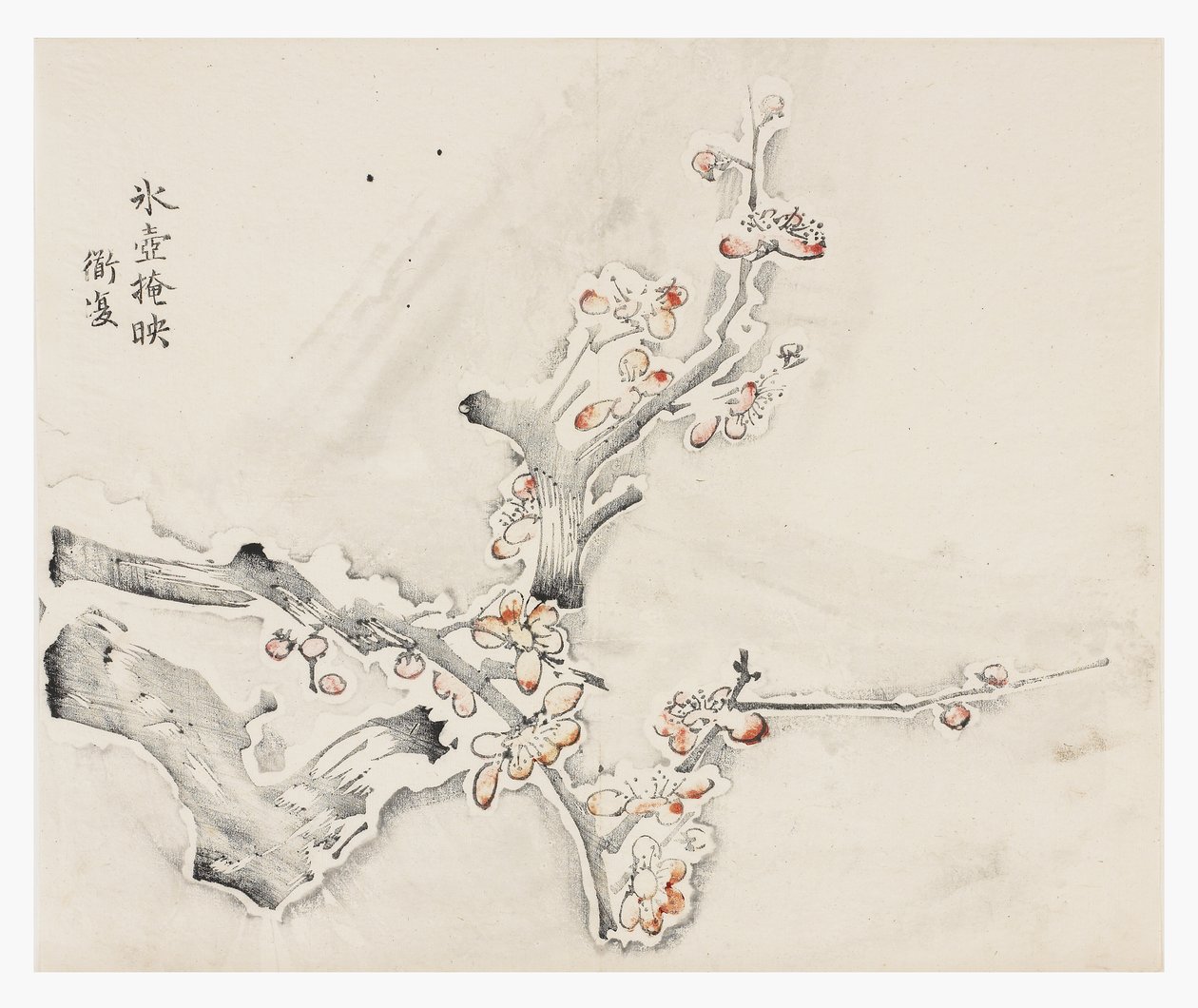 Ti Bamboo Series af School Chinese
