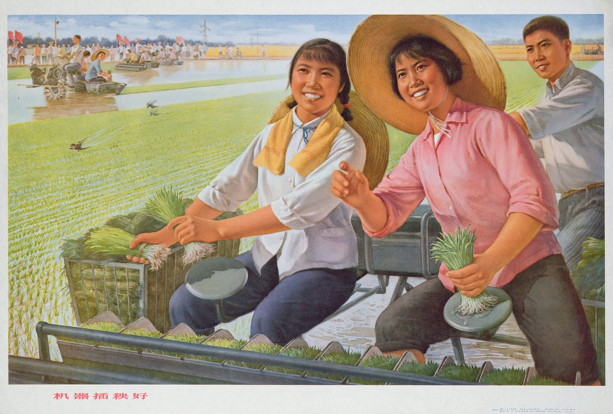 Transplantation af kimplanter med en maskine er godt, propagandaplakat fra den kinesiske kulturrevolution af School Chinese