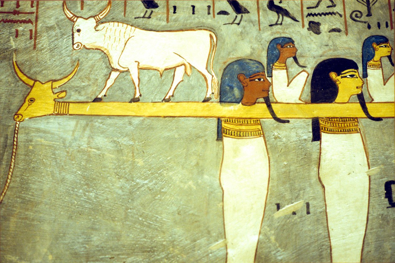Det gamle Egypten, Maleri, Underverdenens guder tøjret til Hathor, guddommelig ko, bugsering af solbarken, Ramses I