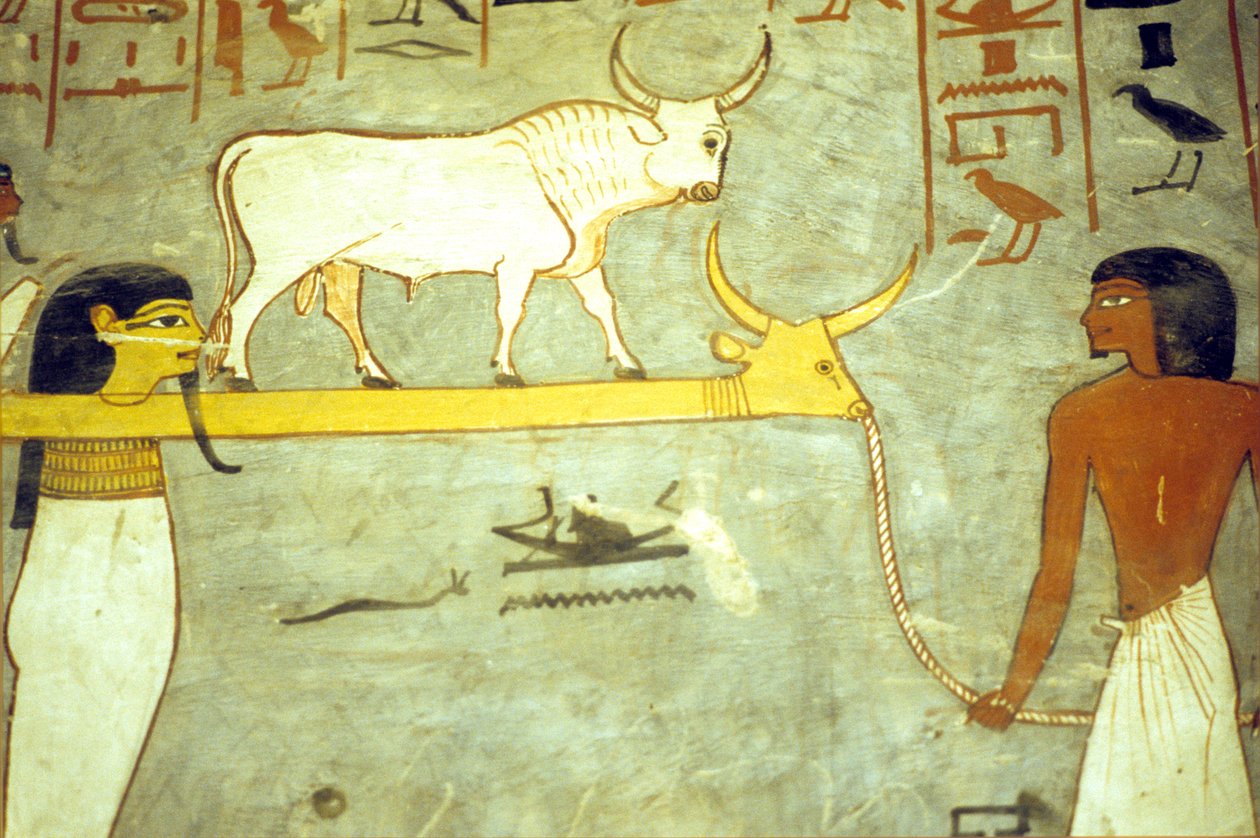 Det gamle Egypten, Maleri, Ramses I