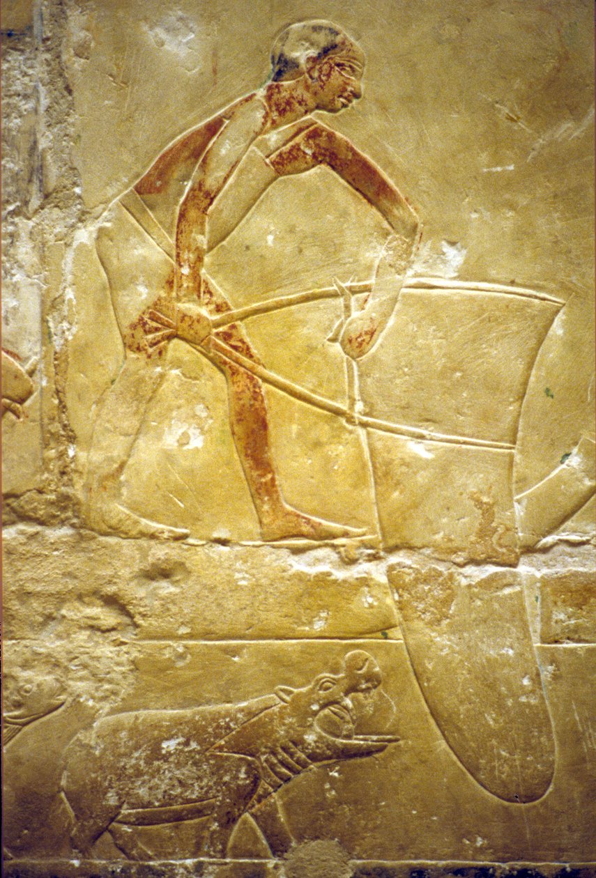 Det gamle Egypten, Vægudskæring/-maleri, Idouts mastaba/grav, Saqqara, 6. dynasti, Fiskeri med fangstnet, Flodhest (foto) af School Egyptian