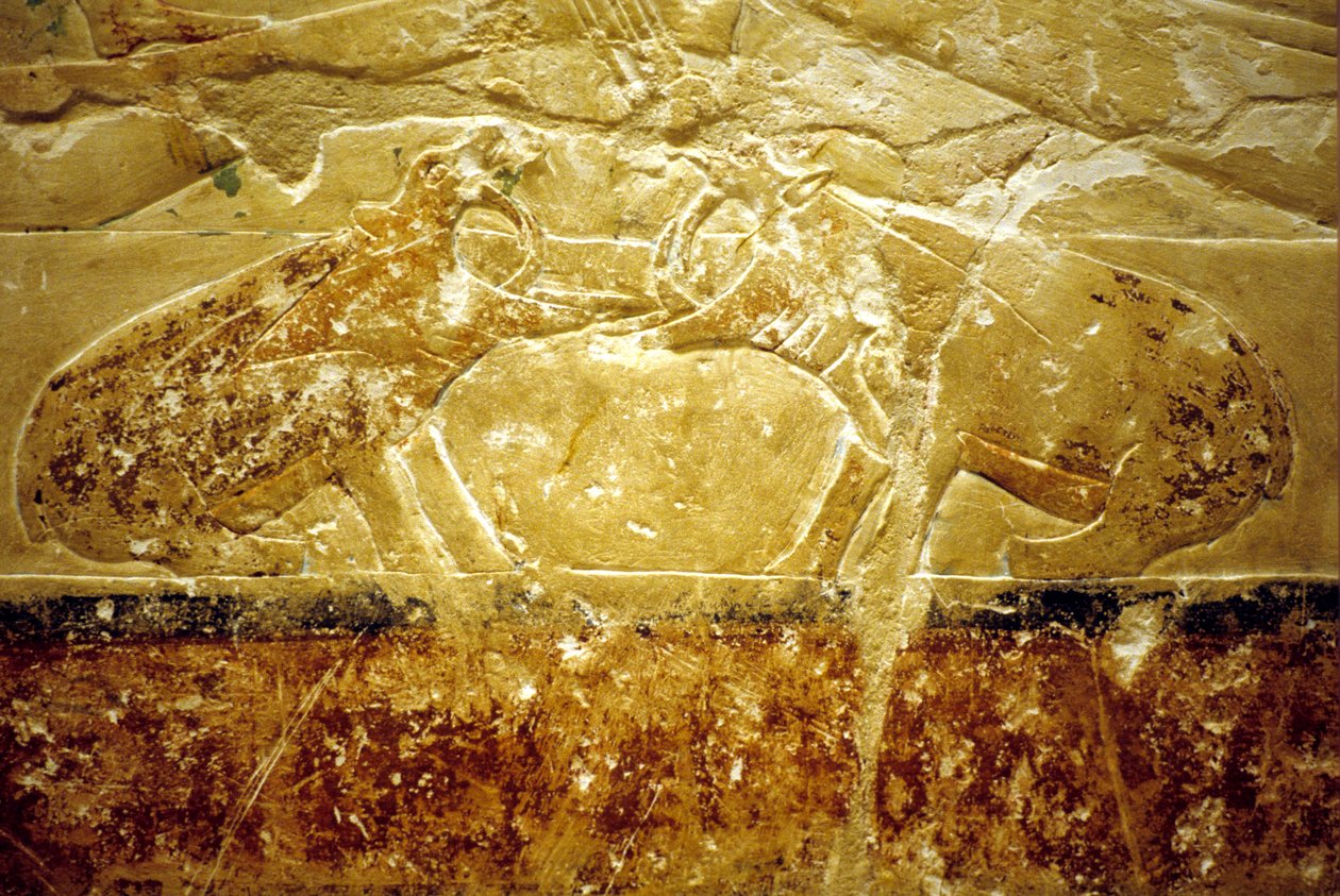 Det gamle Egypten, Vægudskæring/-maleri, Idouts mastaba/grav, Saqqara, 6. dynasti, To flodheste i kamp (foto) af School Egyptian