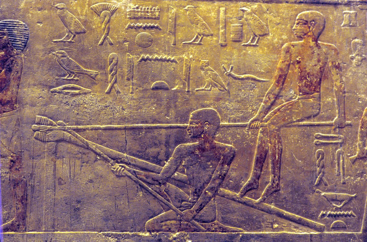 Det gamle Egypten, Vægudskæring/-maleri, Mastaba/Ti