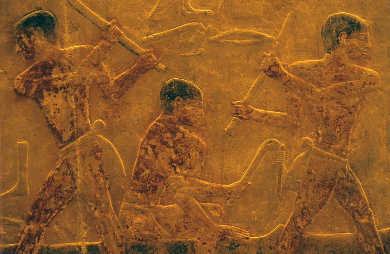 Det gamle Egypten, Vægudskæring/-maleri, Mastaba/Ti