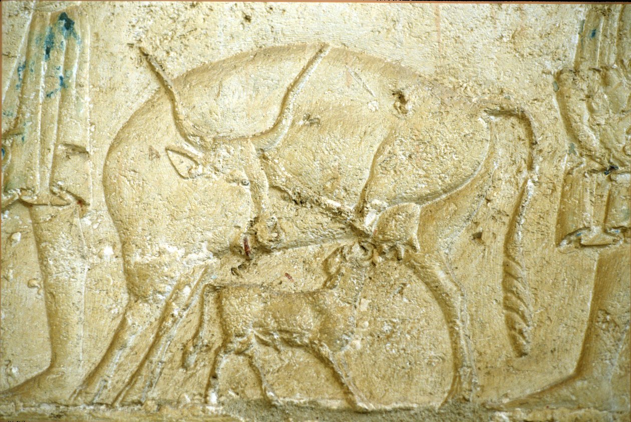 Det gamle Egypten, Vægudskæring/-maleri, Petosiris