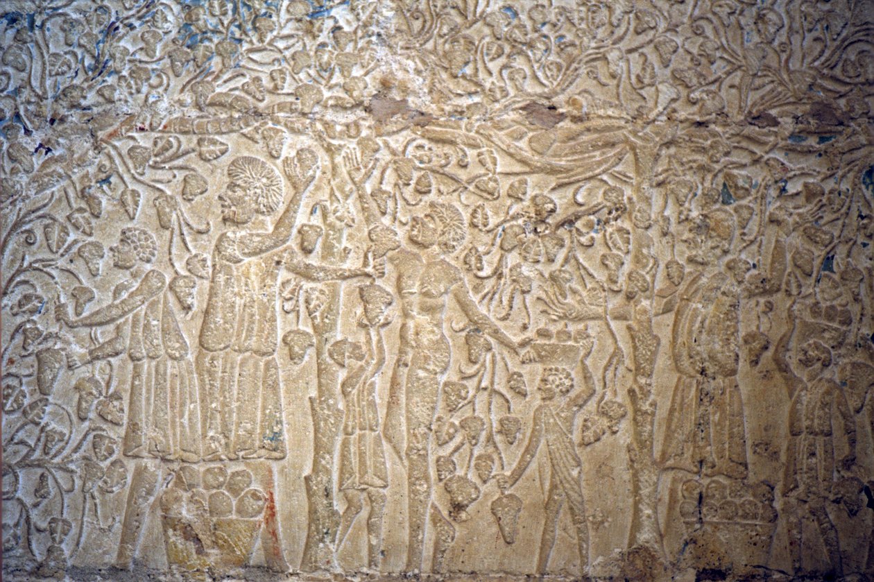 Det gamle Egypten, Vægudskæring/-maleri, , Petosiris