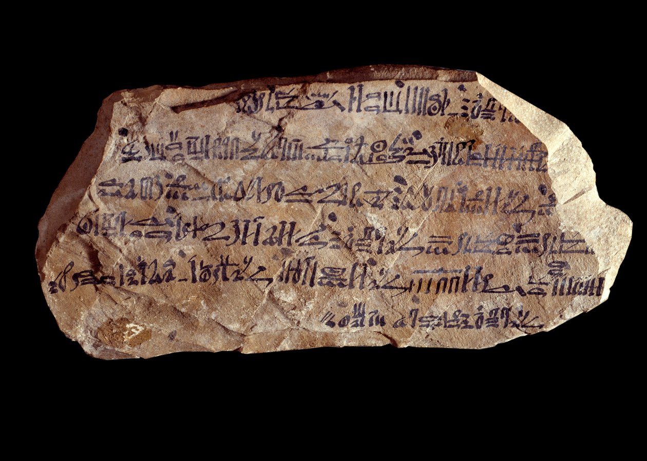 Det gamle Egyptens kunst: ostrakon (eller ostracon) (flertal: ostraca eller ostraka) hieratisk (keramikskår, hvorpå der er skrevet hellige ting). Ægyptens nye imperium. Paris, Musée du Louvre af School Egyptian