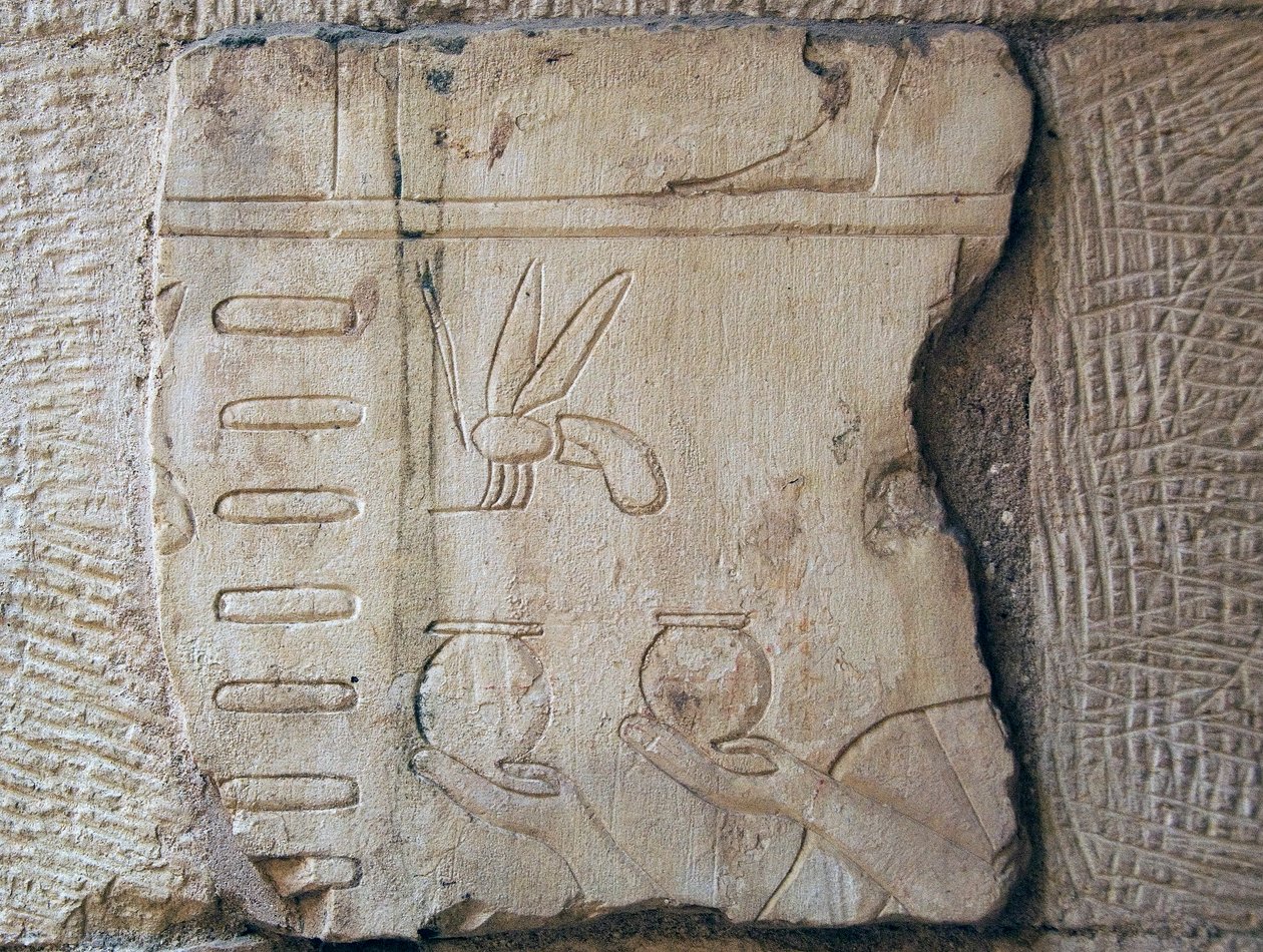 Detalje af et relief, Luxor (sten) af School Egyptian