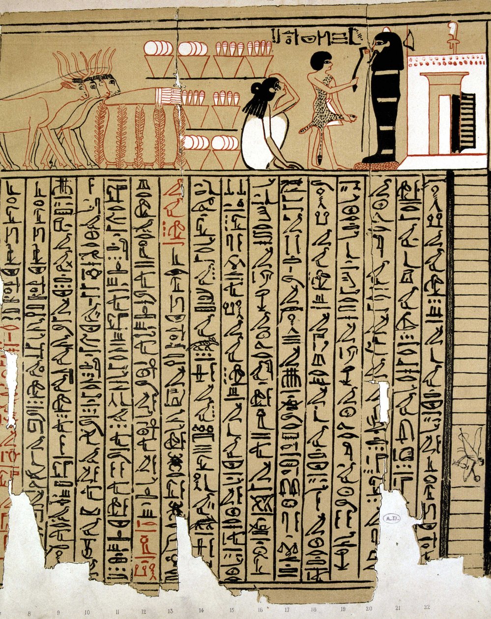 Egyptiske hieroglyffer af School Egyptian