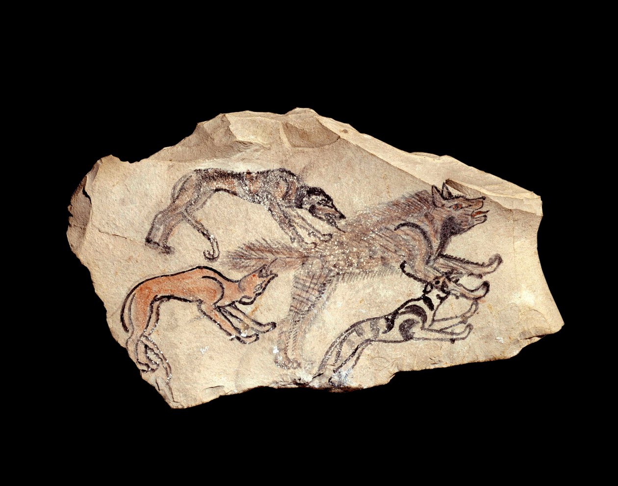 Egyptisk antikvitet: ostrakon (eller ostracon) (flertal: ostraca eller ostraka) (keramik) i kalksten, der repræsenterer tre hunde, der jager en hyæne. 1300-1070 f.Kr. Sol. 0,15x0,08 m Fra Deir el Medineh. Paris, Louvre-museet af School Egyptian
