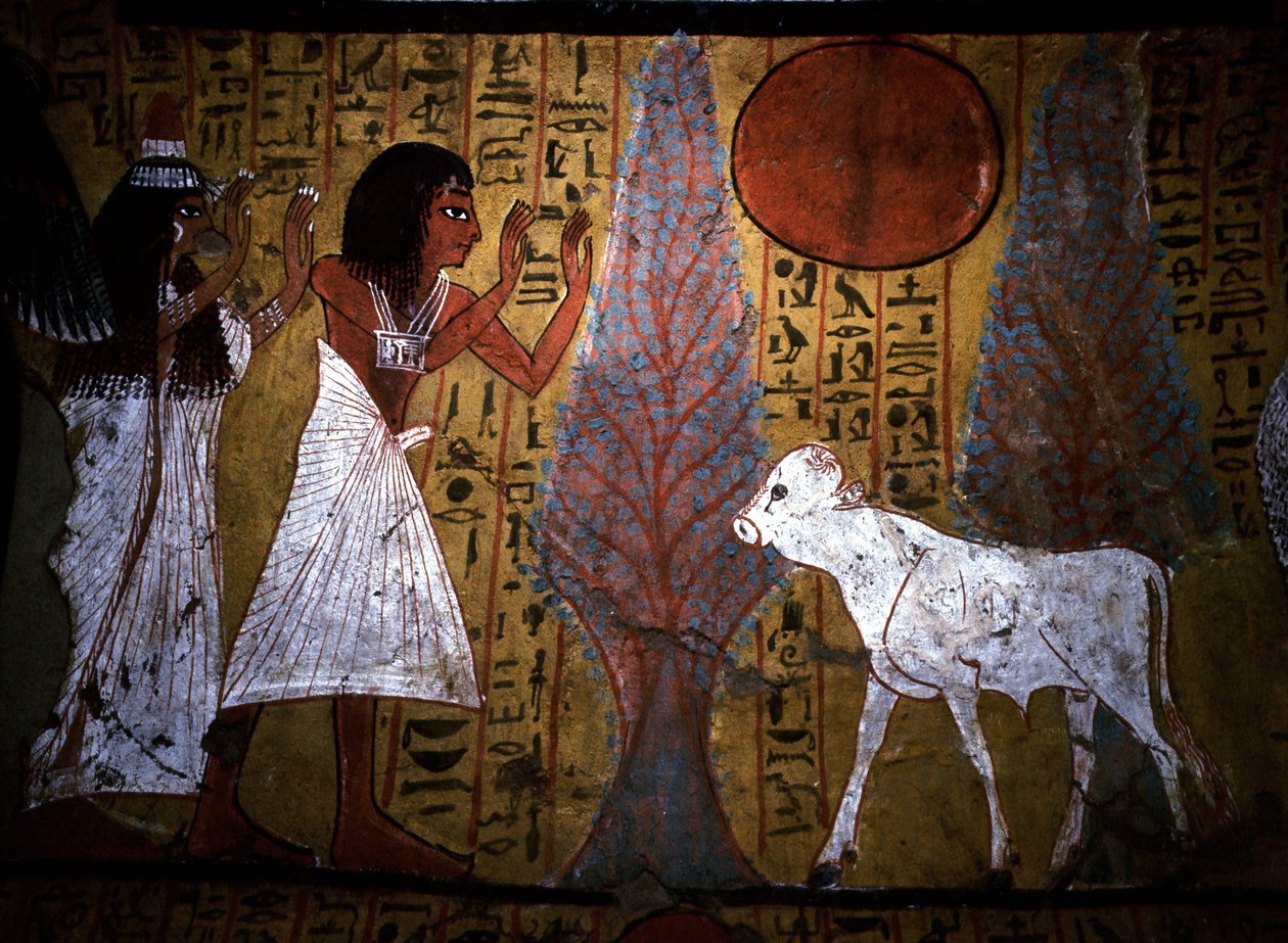 Luxor - Theben: Venstre bred af Nilen. Hjemmeside for DEIR EL MEDINEH: Landsby og nekropolis for håndværkere. Detalje af et vægmaleri i en grav, der viser kalven, stadig med tynde og skrøbelige ben, som legemliggør den fremtidige apis.19. dynasti. af School Egyptian