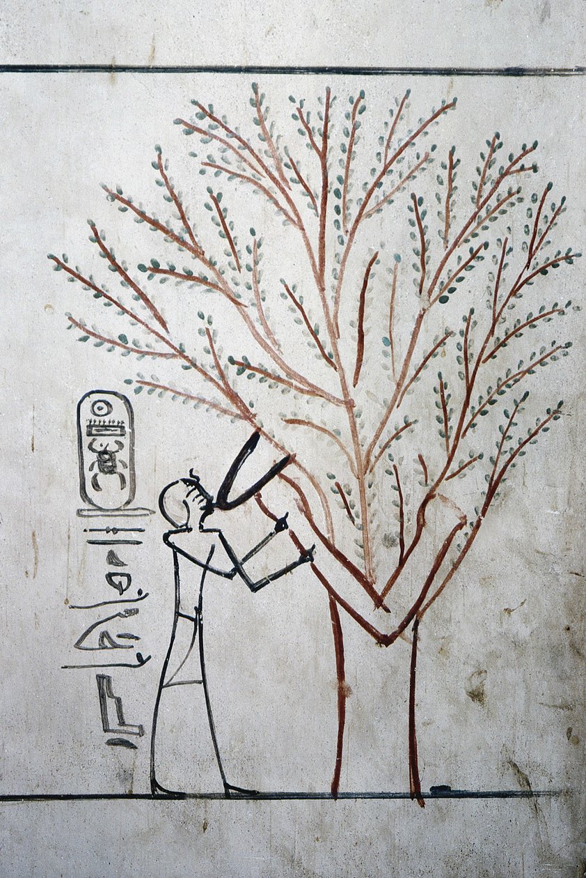 Luxor, Theben: Kongernes dal. Grav for Thutmosis (Tuthmosis eller Thutmes) III (-1504 - -1450), Farao af Egypten. af School Egyptian