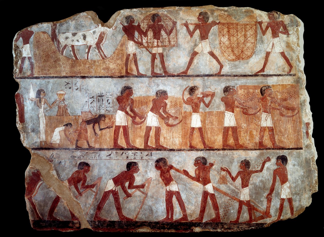 Såning og omlægning fra den skriftkloge Unsous grav (fresko) af School Egyptian