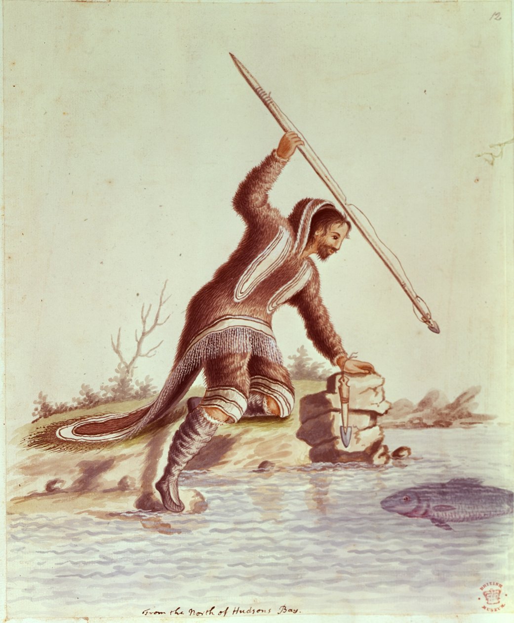 Tilføj 5253 fol.12 Inuit-spydfisk (farve litho) af School English