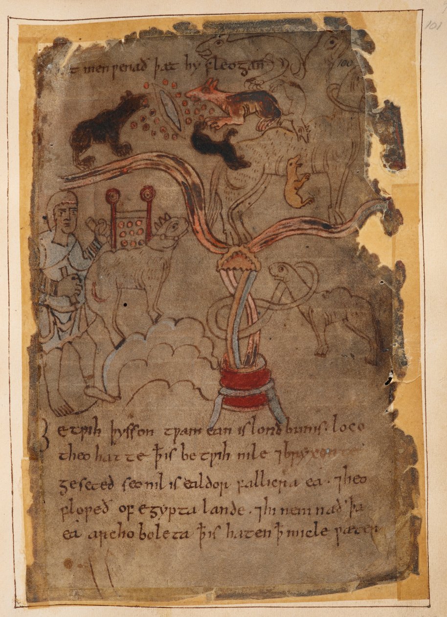 Angelsaksiske tegninger af dyr, illustration fra 