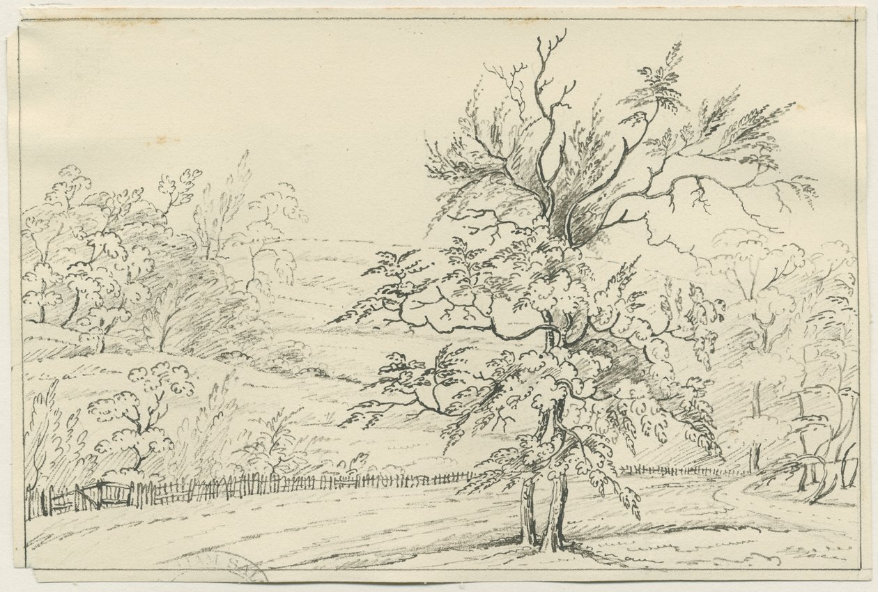 Cannock Chase: pen- og blyantstegning, nd [?1800-tallet] (tegning) af School English