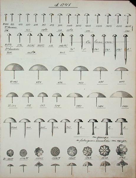 Søm, stifter og stifter, fra et handelskatalog over husholdningsartikler og tilbehør, ca. 1890-1910 (litho) af School English