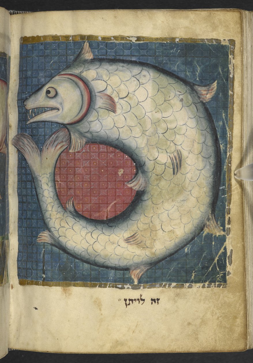 Tilføj MS 11639 f.518v The Leviathan, fra en Miscellany af bibelske og andre tekster (