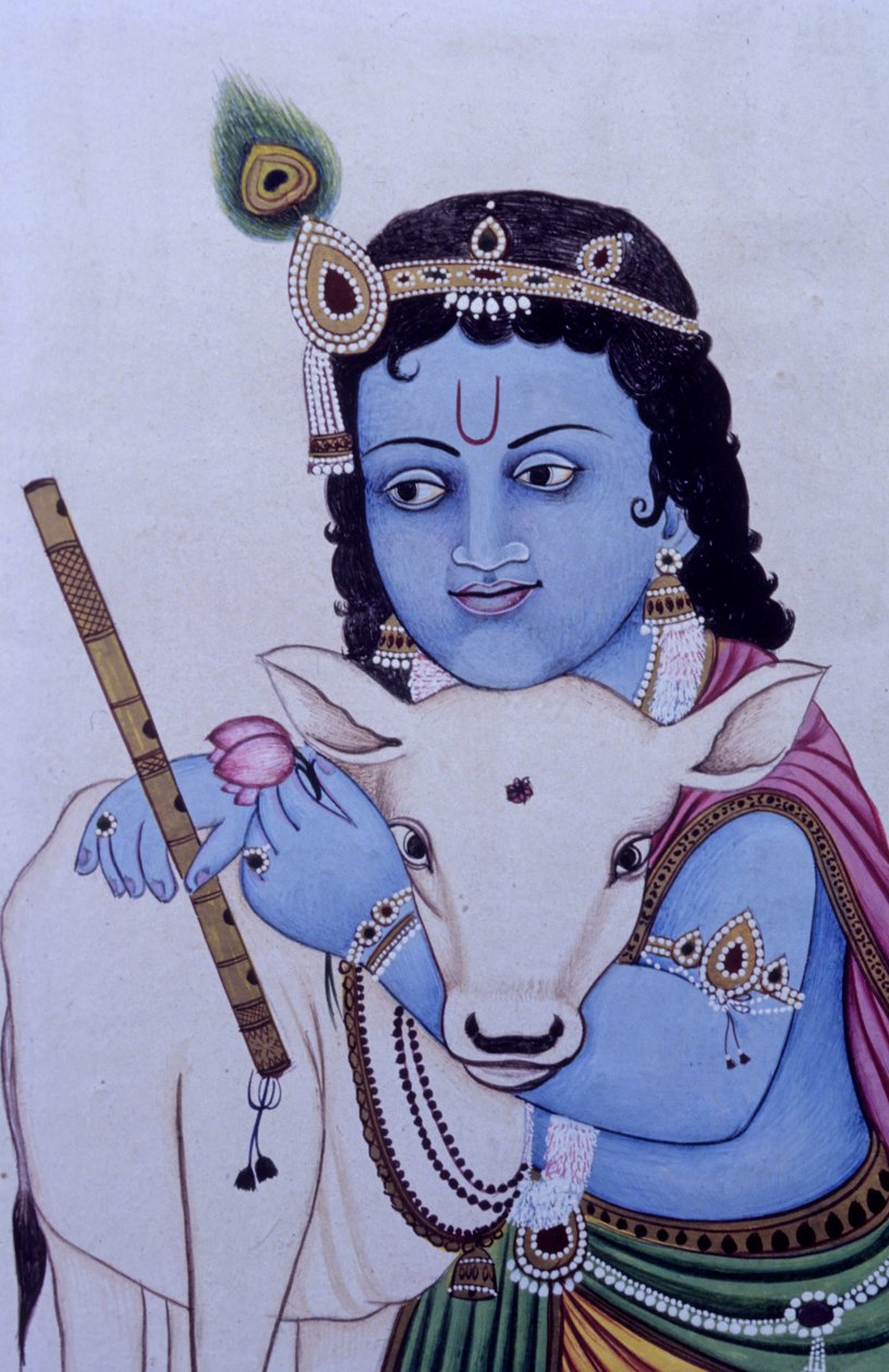 Lord Bal Krishna med ko i miniaturemaleri på papir af School Indian