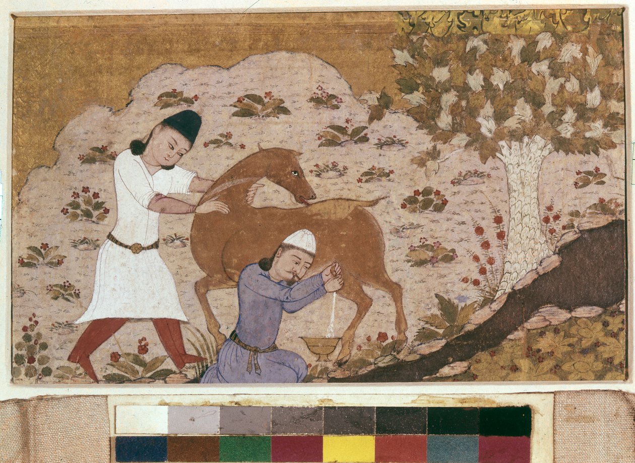 Onager Malkning, slutningen af 1400-tallet (akvarel, gouache, hvid farve, blæk på papir) af School Iranian