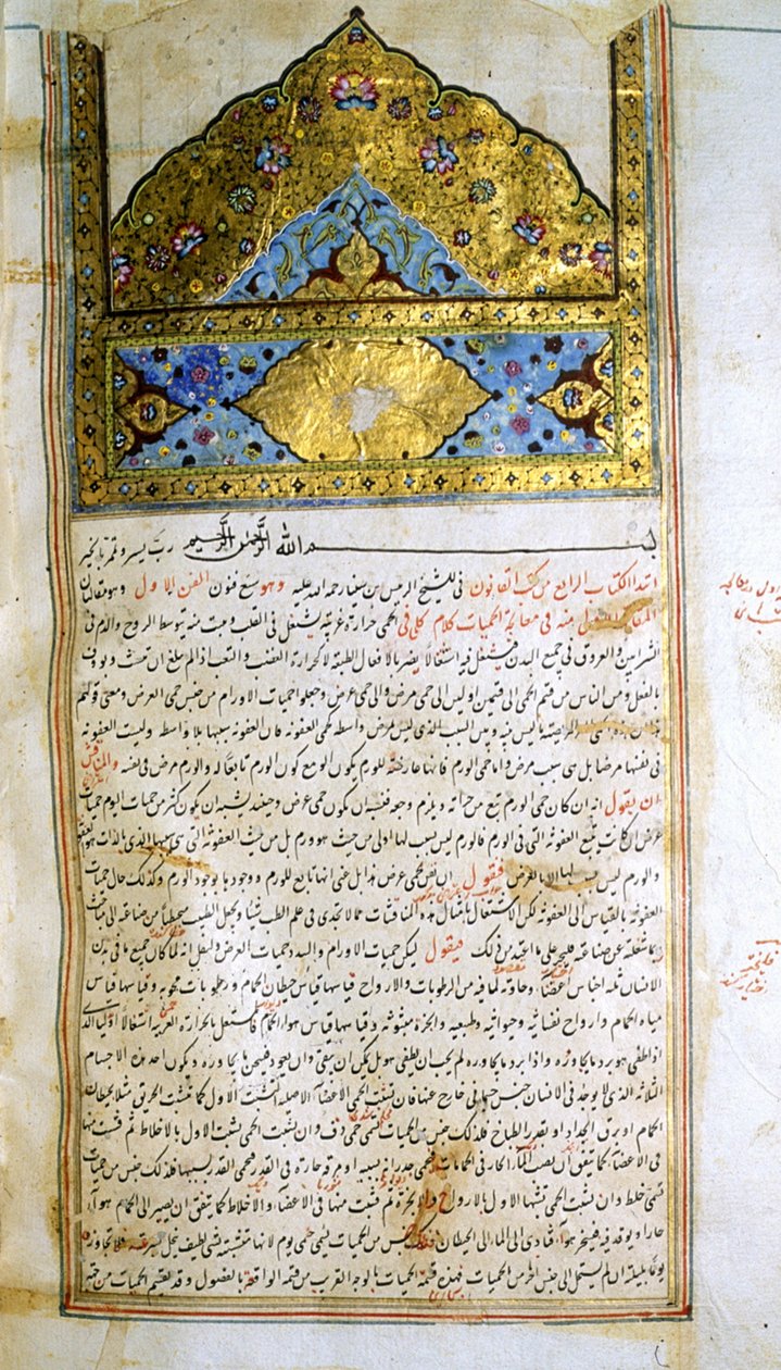 Sivu lääketieteen kaanonista (al-Qānūn fī aṭ-Ṭibb), kirjoittanut Avicenna af School Iranian