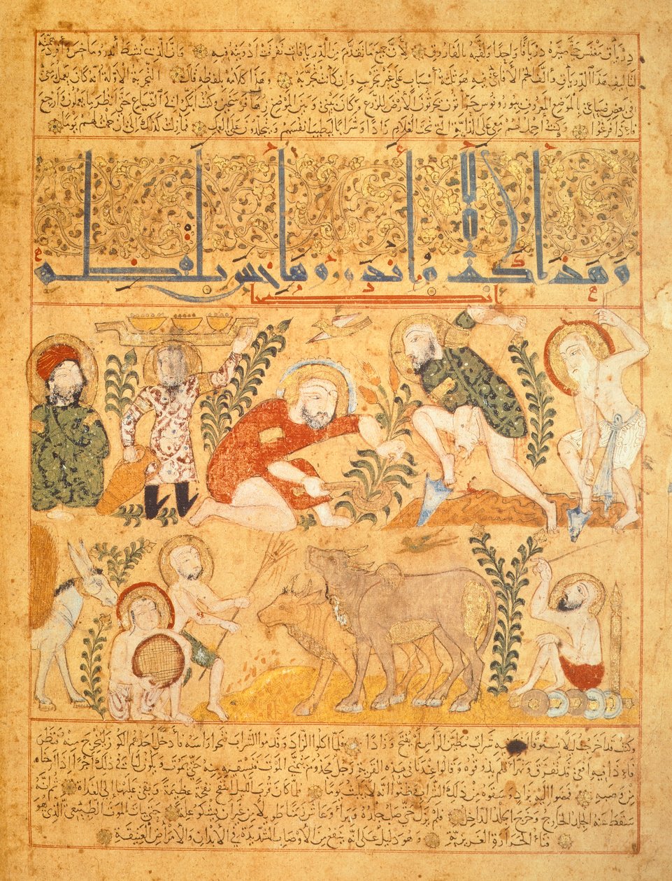 Andromenadros, Farmaceuten, undersøger landbrugsarbejde, illustration fra 