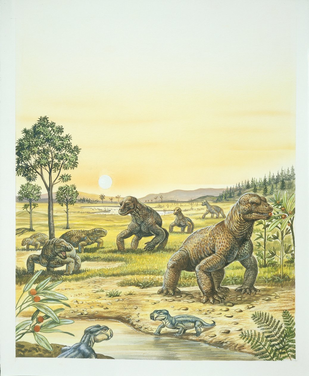 Anomodonts, forgrund, Pareisaurs, venstre, og Dinocephalians, højre, palæozoikum, perm periode (farve litho) af School Italian