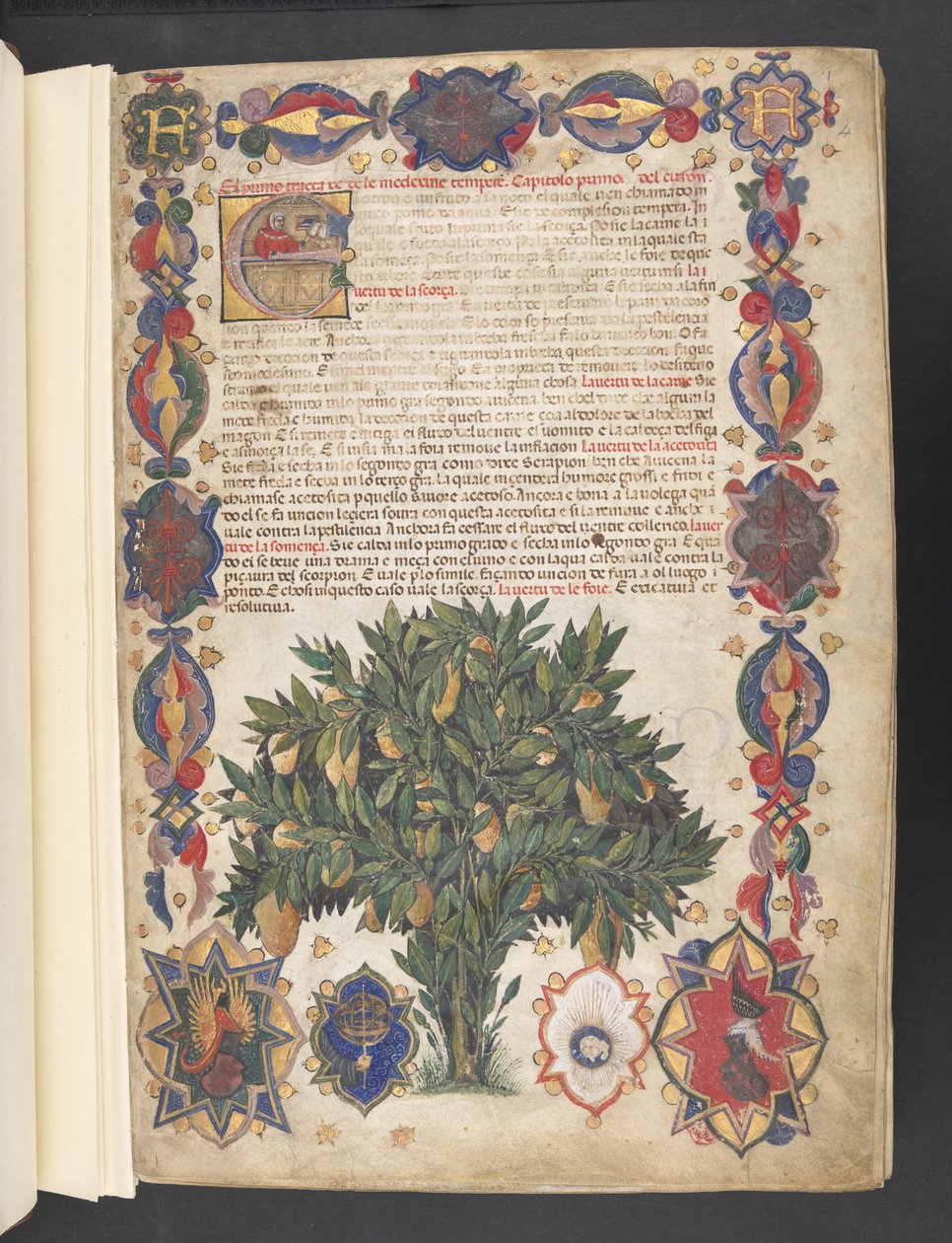 Egerton 2020 f.4r Fuld kant med heraldisk dekoration og historisk initial 