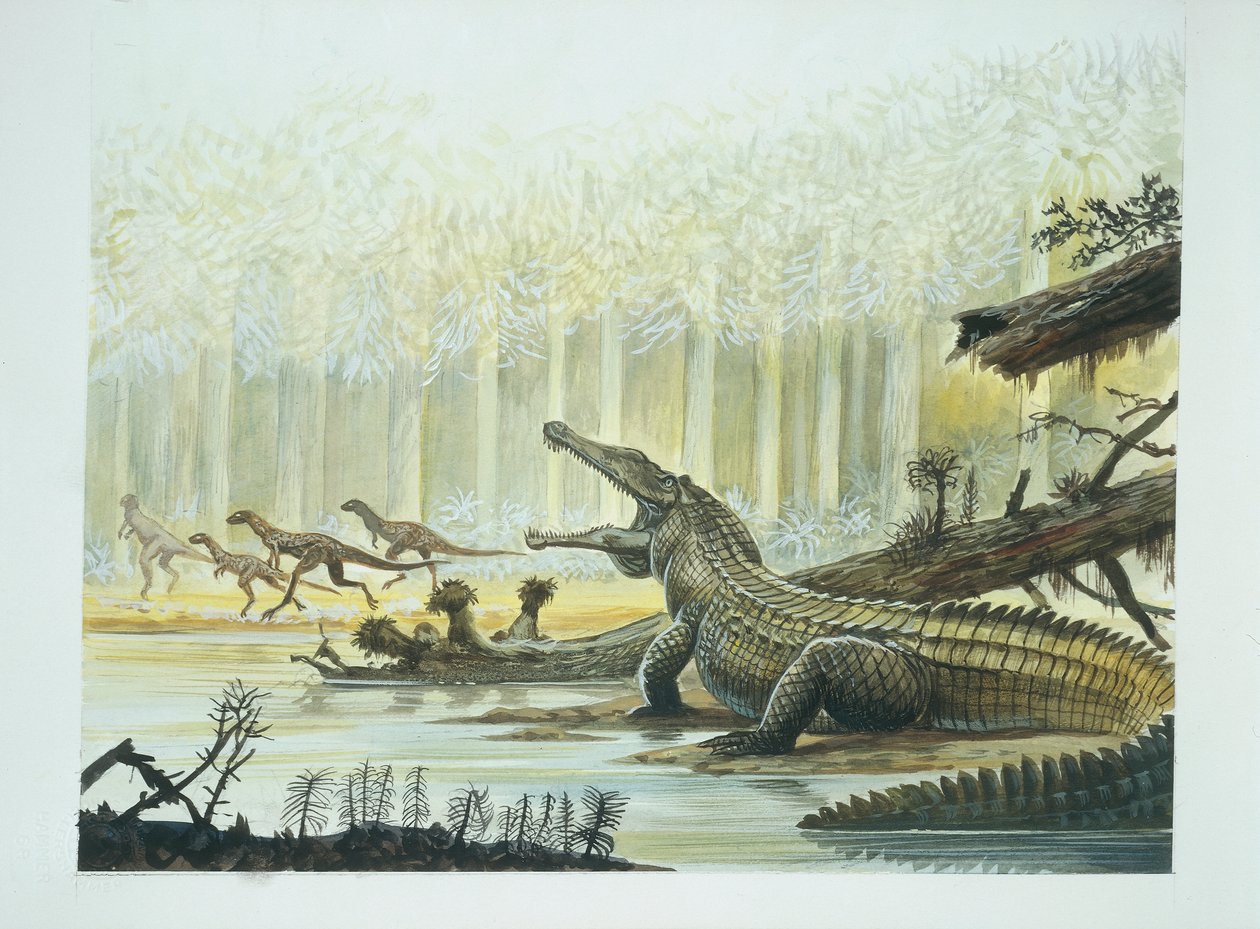 Rutiodon med Fabrosaurus i baggrunden, trias periode (farve litho) af School Italian