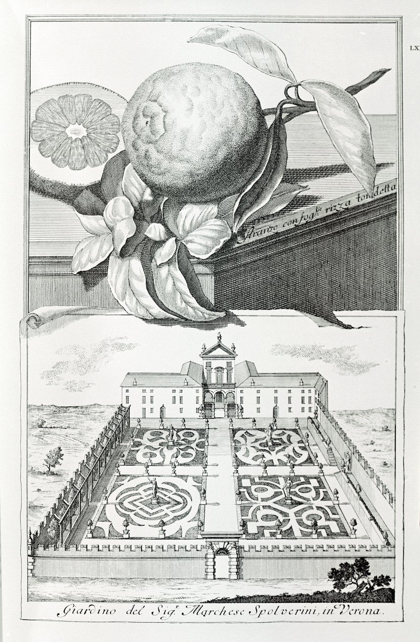 Villa af Marquis Spolverini af Verona, fra "Villaer, haver og landskaber i Venedig" af A. Volkamer (gravering) af School Italian