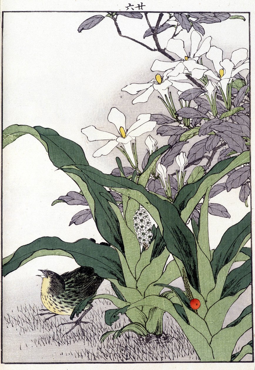 Fugl i blomsterne - japansk print af Japanese School