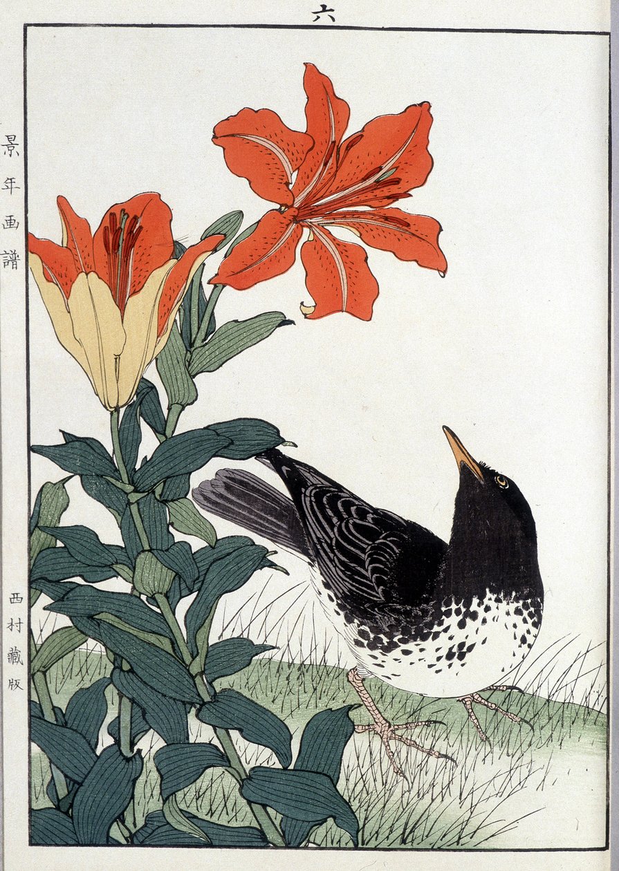 Solsort og liljeblomster - japansk print af Japanese School