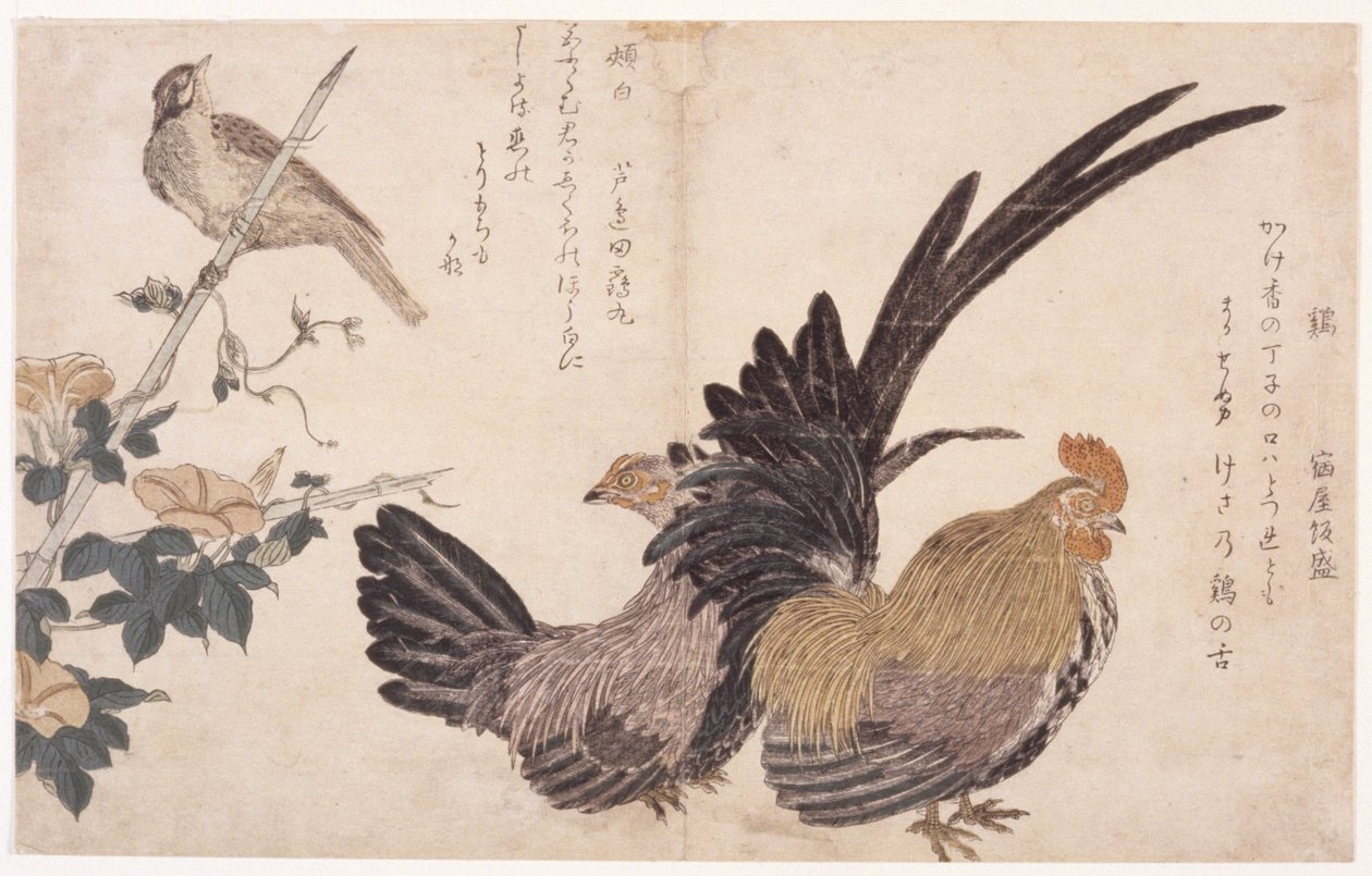 Hane, Høne og Fugl af School Japanese
