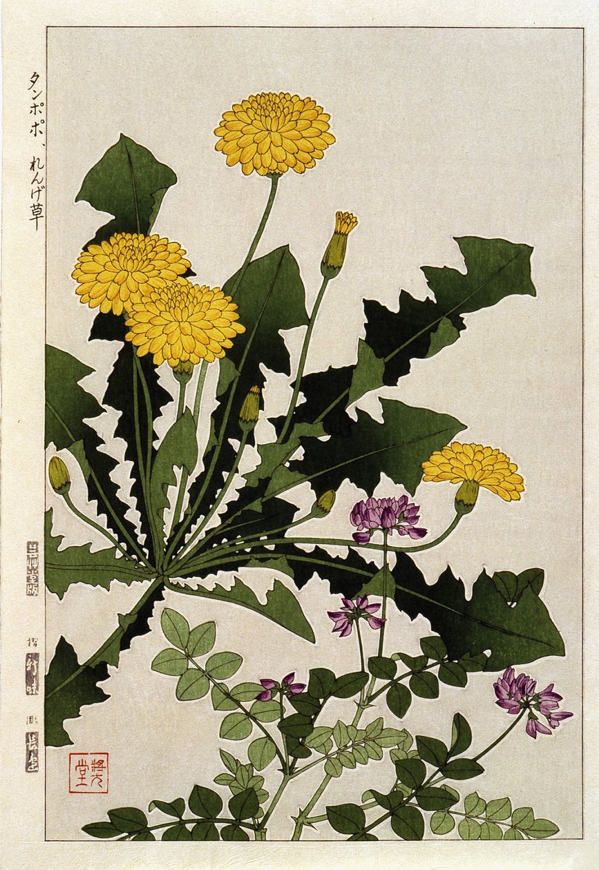 Mælkebøtte blomster - japansk print af Japanese School