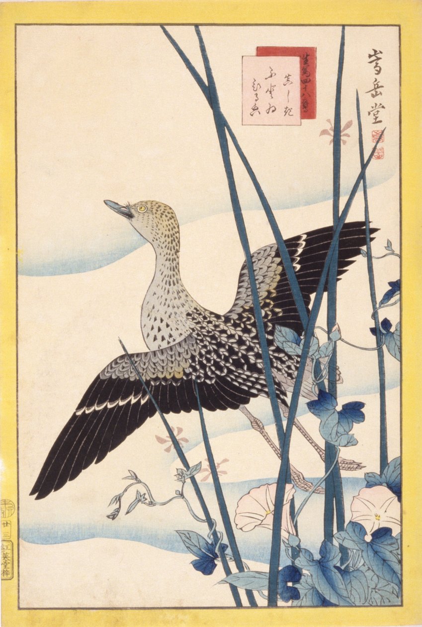 Vildand af School Japanese
