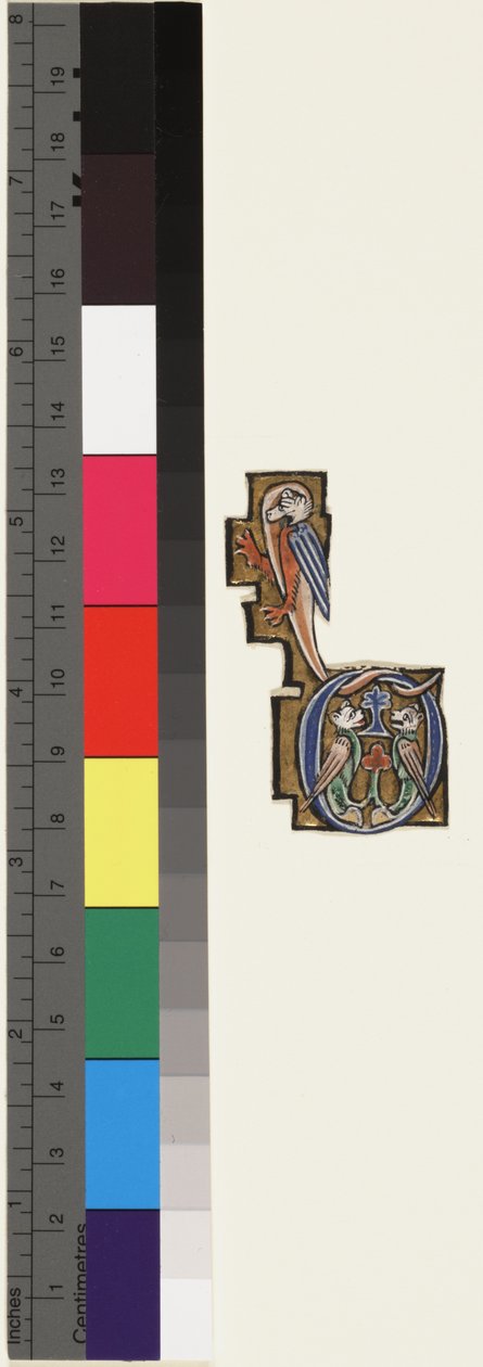 Bogstav D, fra et salmedigt timetal, ca.1270 (guld og tempera på pergament) af School Mosan
