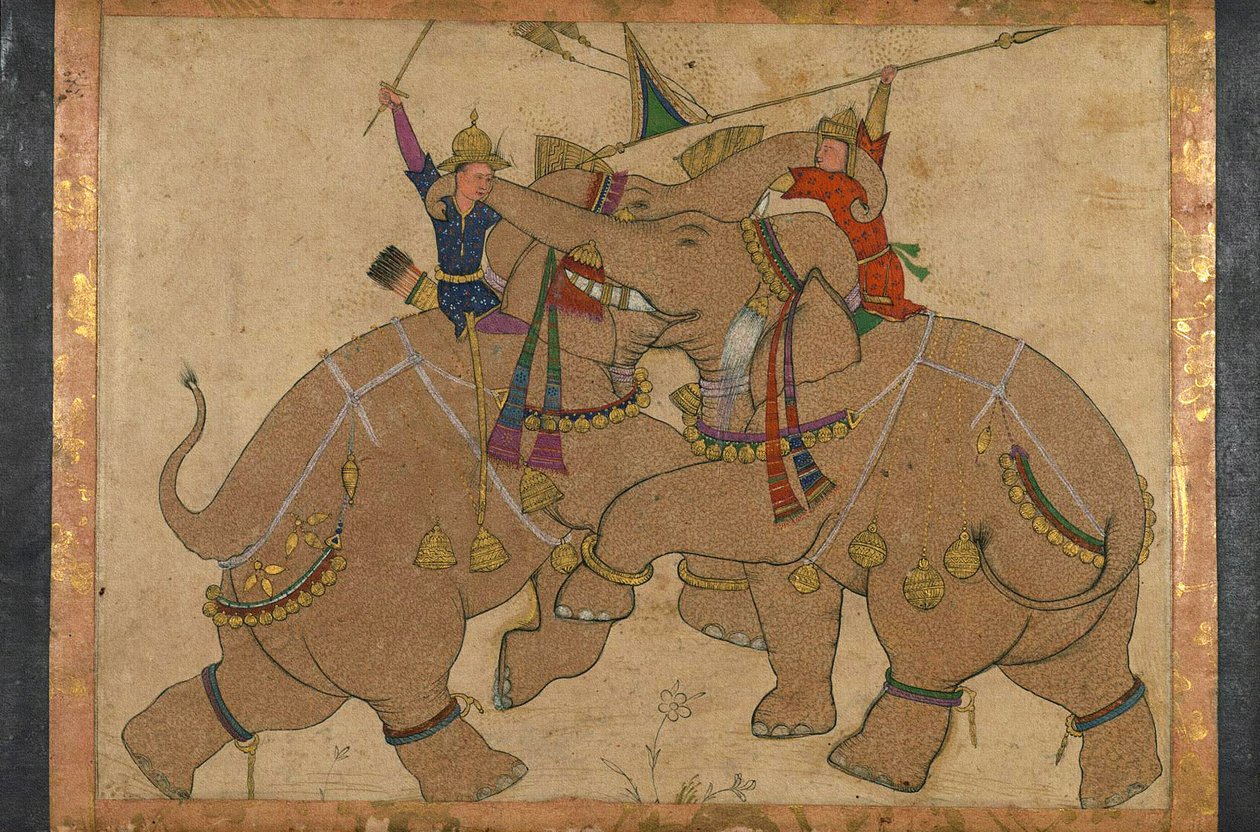 Elephant Combat (blæk, pigmenter på papir monteret på pap) af School Mughal