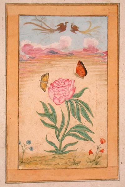 Blomstrende planter med paradisfugle og sommerfugle, fra Small Clive Album (gouache på pergament) af School Mughal