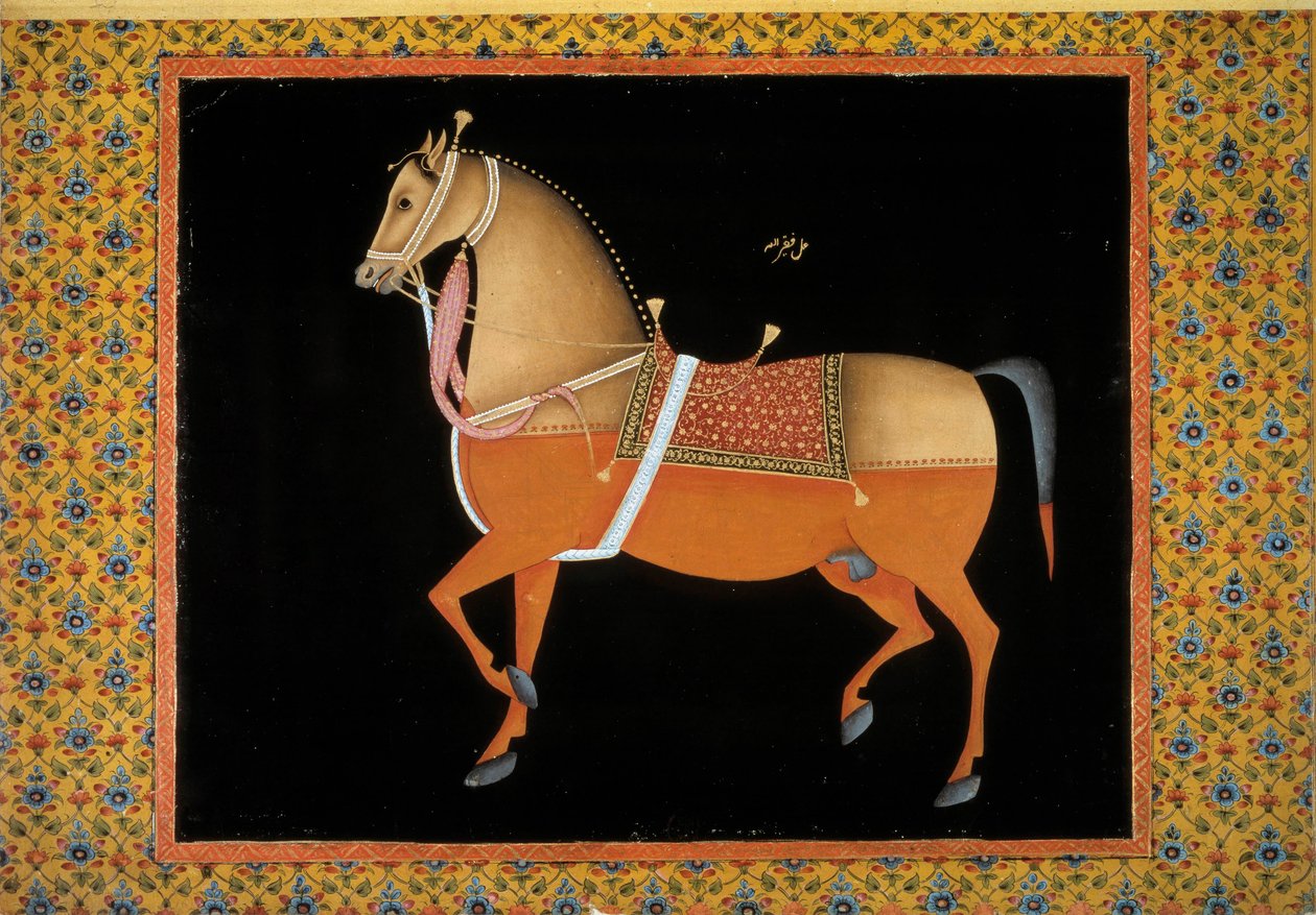 Moghol kunst: repræsentation af en hingst. 1700-tals gouache. Paris, B.N. af School Mughal