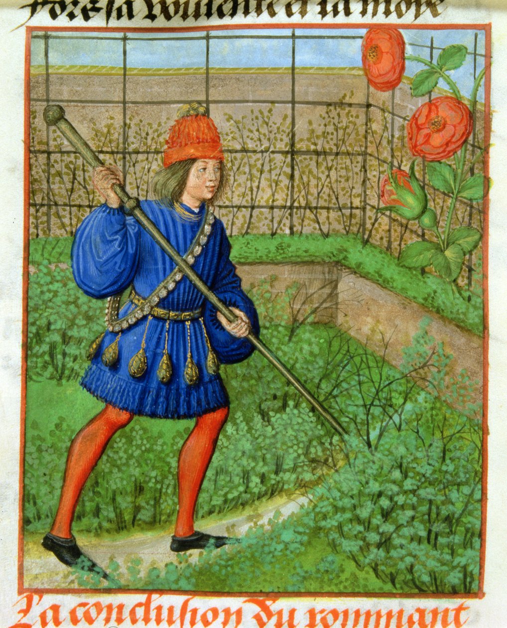 Harl 4425 f.184v Elskeren opnår rosen, fra 