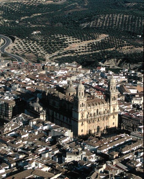 Luftfoto af Jaen-katedralen (foto) af School Spanish