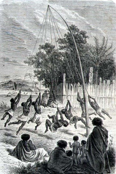 Maori-krigere spiller på en gynge, illustration fra 