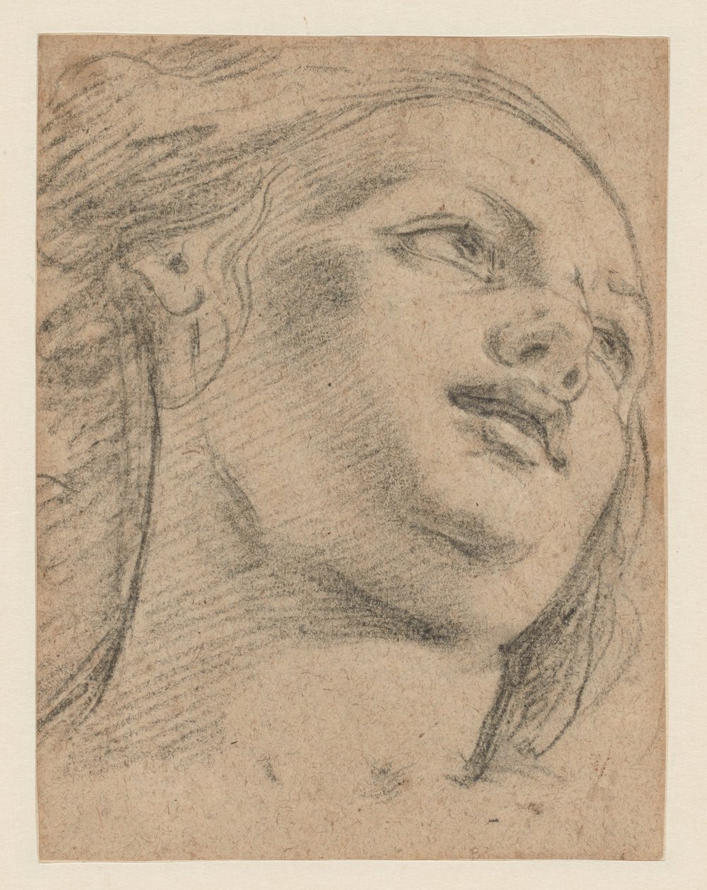 Kvindelig hovedundersøgelse ser op til højre (recto); Studie af to figurer, der understøtter et objekt (verso) af School of Guido Reni