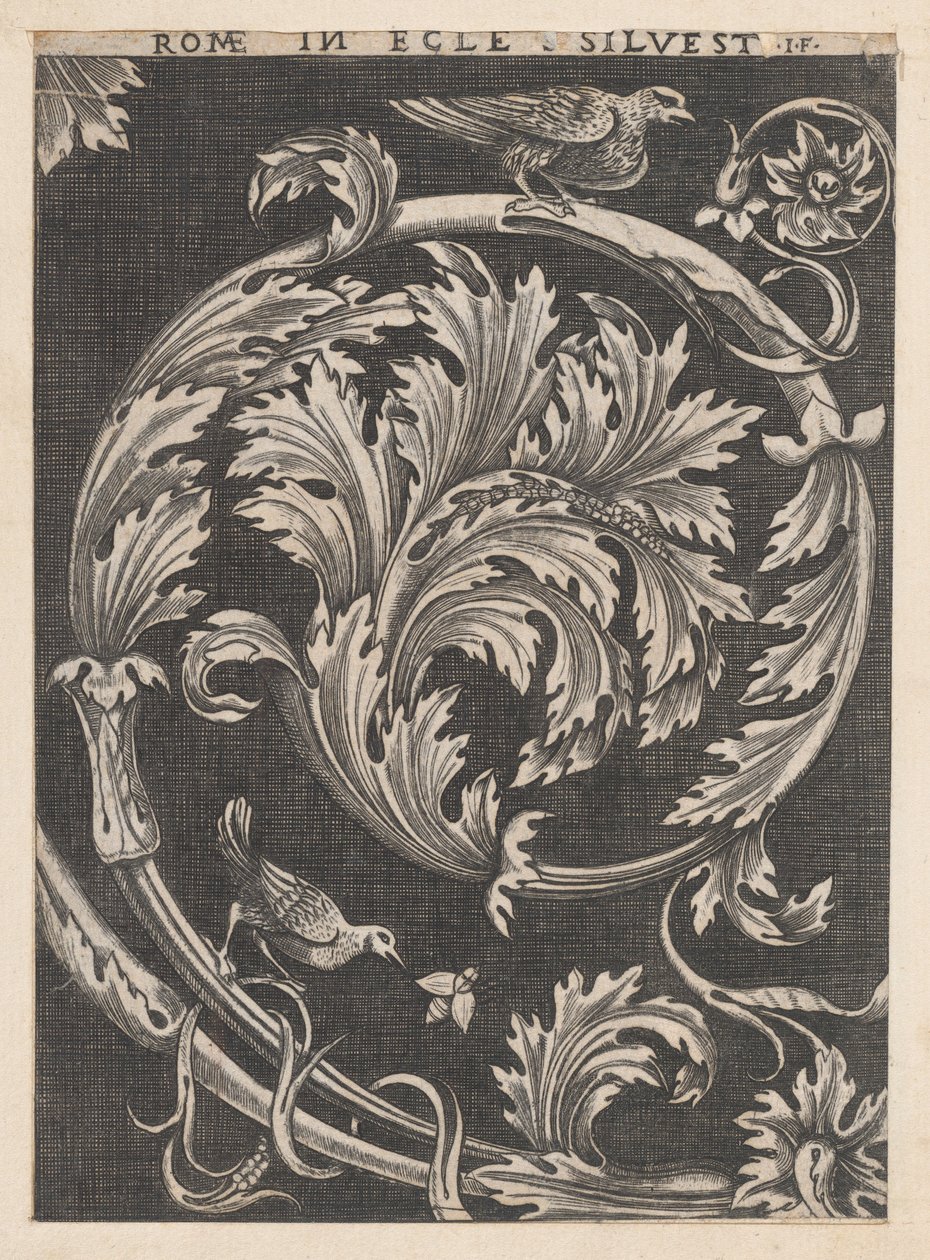 Mirror of Roman Magnificence: Ornamental løv fra kirker, 16. århundrede., 16. århundrede. af School of Raphael