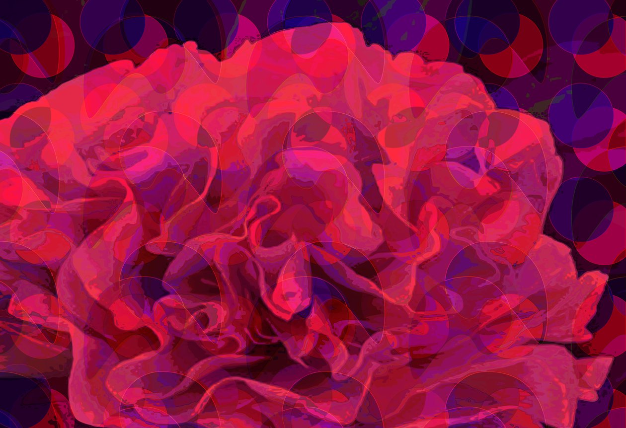Nellik (digital) af Scott J. Davis