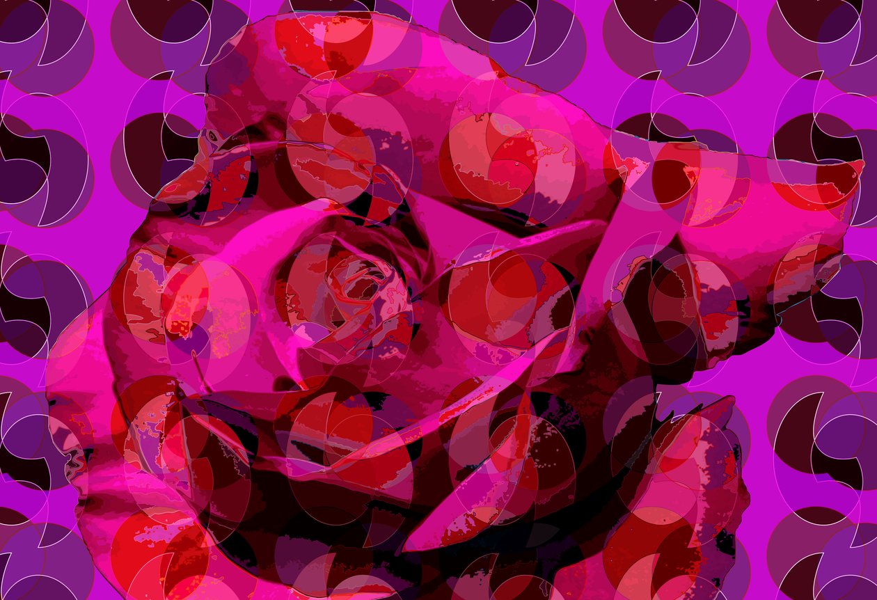 Rose (digital) af Scott J. Davis