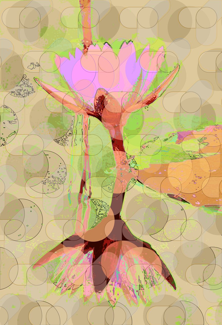 Åkande refleksion (digital) af Scott J. Davis
