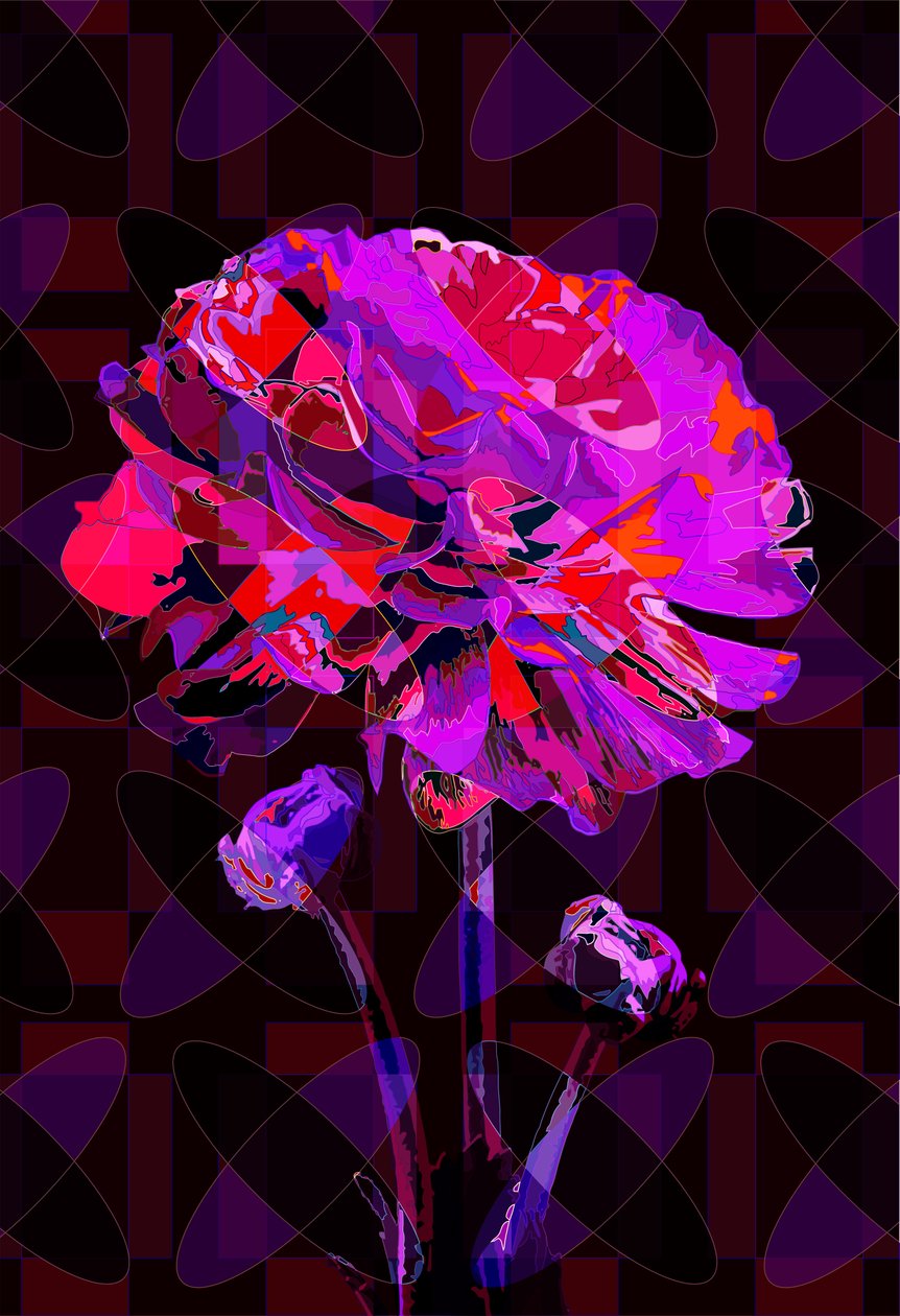 Nellik 4, 2019 af Scott J. Davis